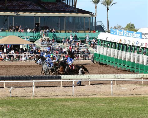 turf paradise live streaming.